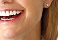 936full-snakes-on-a-plane-poster 936full-snakes-on-a-plane-poster